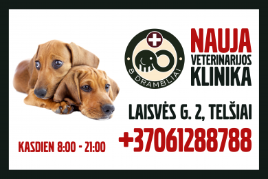 Birželio 1-ąją į Žemaitijos sostinę Telšius įžengia „8 drambliai” veterinarijos klinika. Birželio 1-ąją į Žemaitijos sostinę Telšius įžengia „8 drambliai” veterinarijos klinika.
